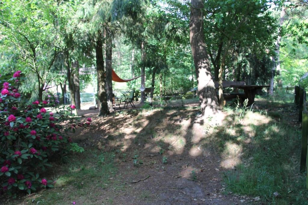 Ferienhaus Am Waldesrand Hatten Esterno foto