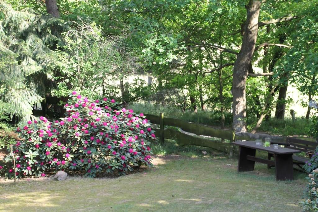 Ferienhaus Am Waldesrand Hatten Esterno foto