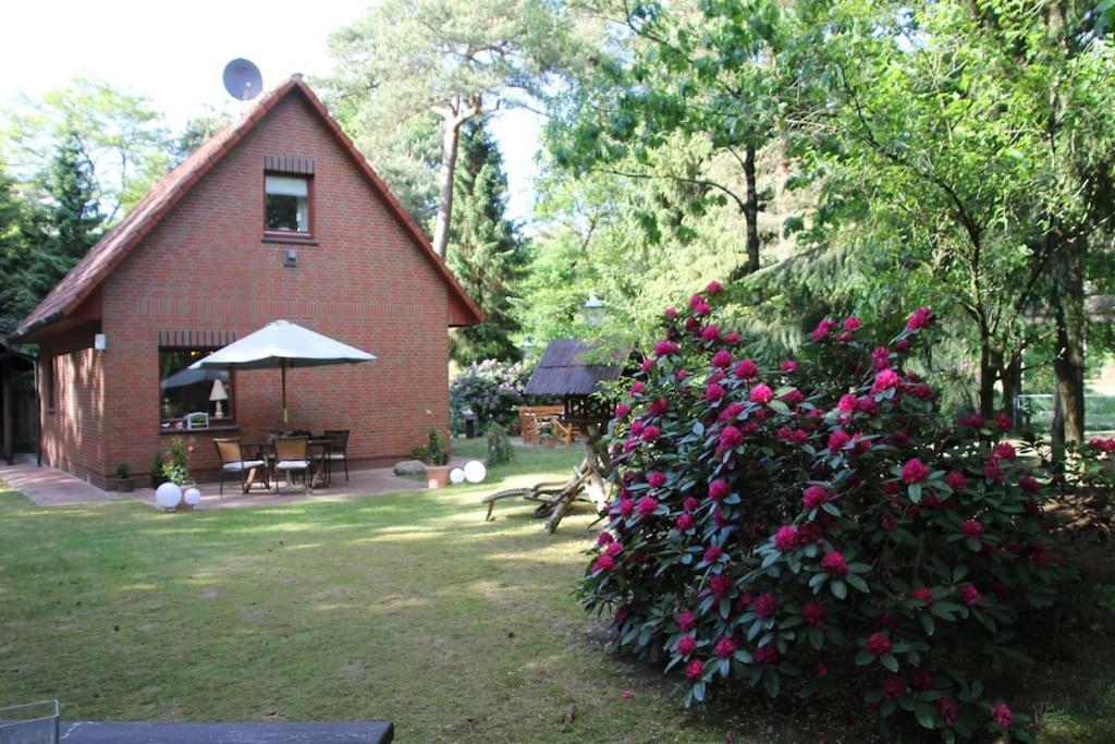 Ferienhaus Am Waldesrand Hatten Esterno foto